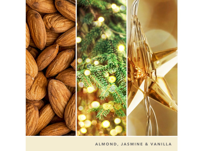 40553_TWINKLING LIGHTS